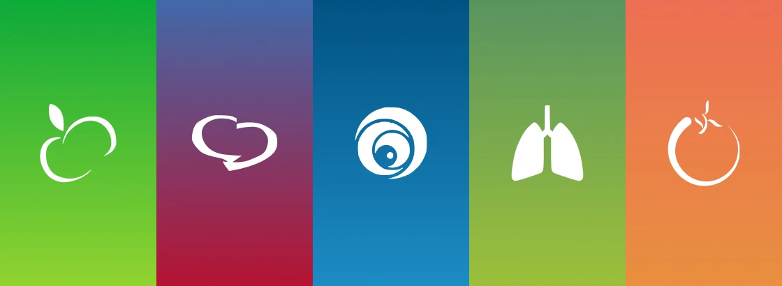 app-algoritmos-iconos